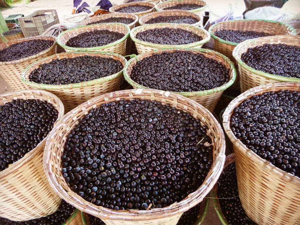 Açaí fruta: 40 benefícios, informação nutricional e malefícios