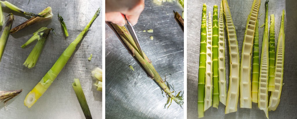 Broto de Bambu é bom para quê? para que serve, benefícios e malefícios