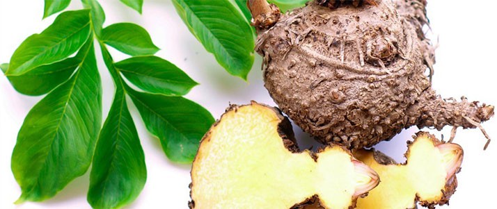 Glucomannan: o que é, para que serve, alimentos e onde encontrar