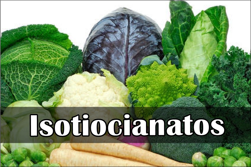 Isotiocianatos: O que é, funções, alimentos ricos, benefícios e deficiência