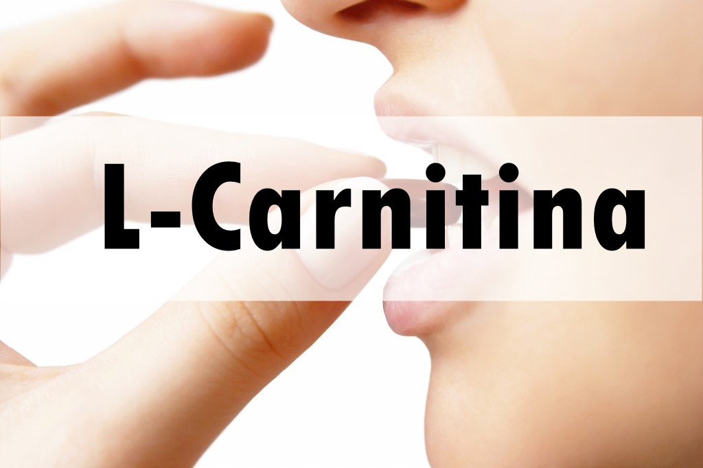 L-Carnitina: o que é, para que serve e onde encontrar