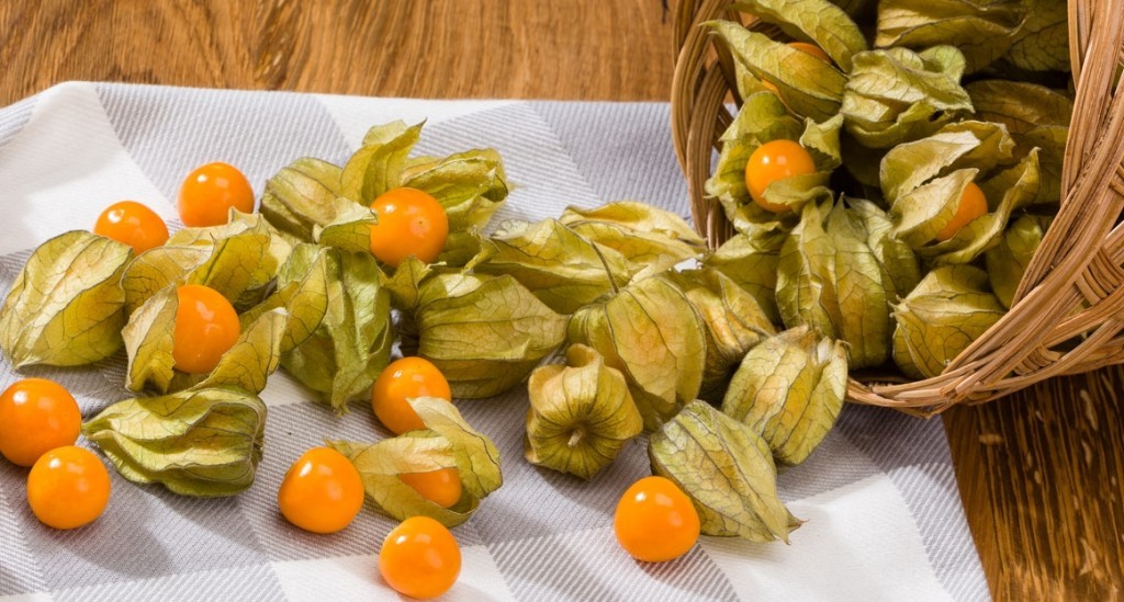 Physalis fruta: 40 benefícios, informação nutricional e usos