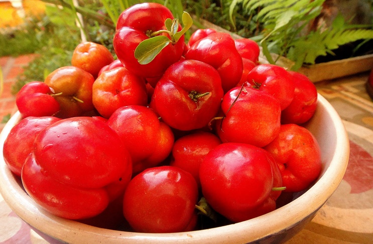 Acerola fruta: 40 benefícios, informação nutricional e malefícios