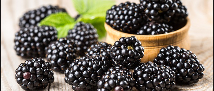 Amora Preta fruta: 40 benefícios e informação nutricional 