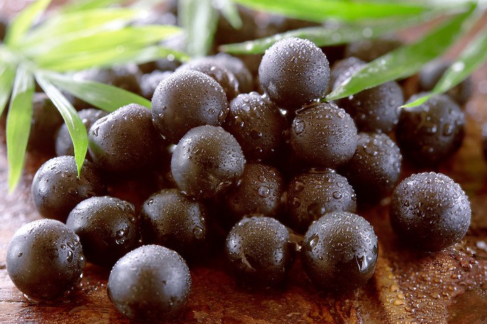 Açaí fruta: 40 benefícios, informação nutricional e malefícios