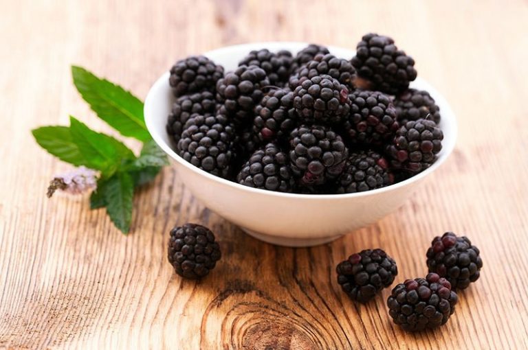 Amora Preta fruta: 40 benefícios, informação nutricional e malefícios ...