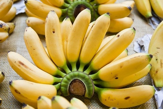 beneficio da banana