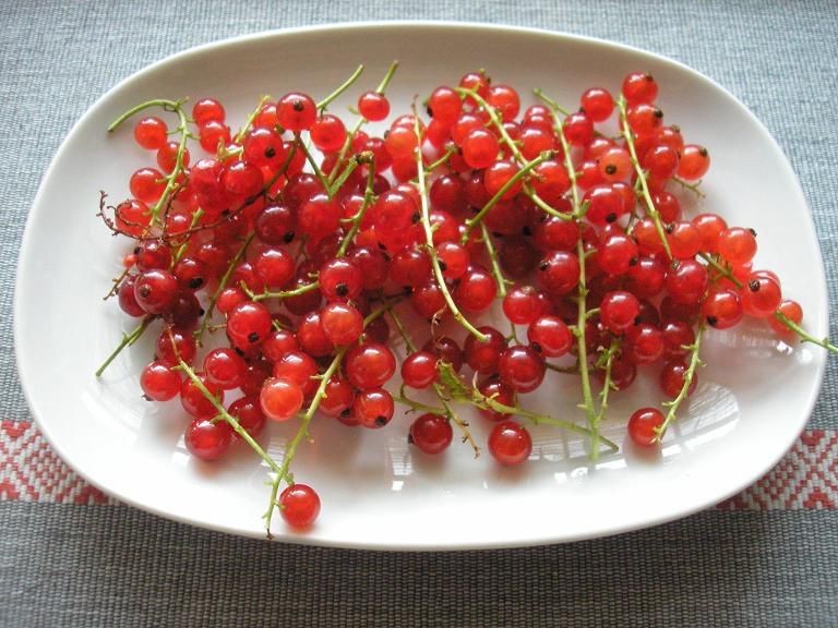 Groselha Vermelha fruta: 32 benefícios, informação nutricional e malefícios