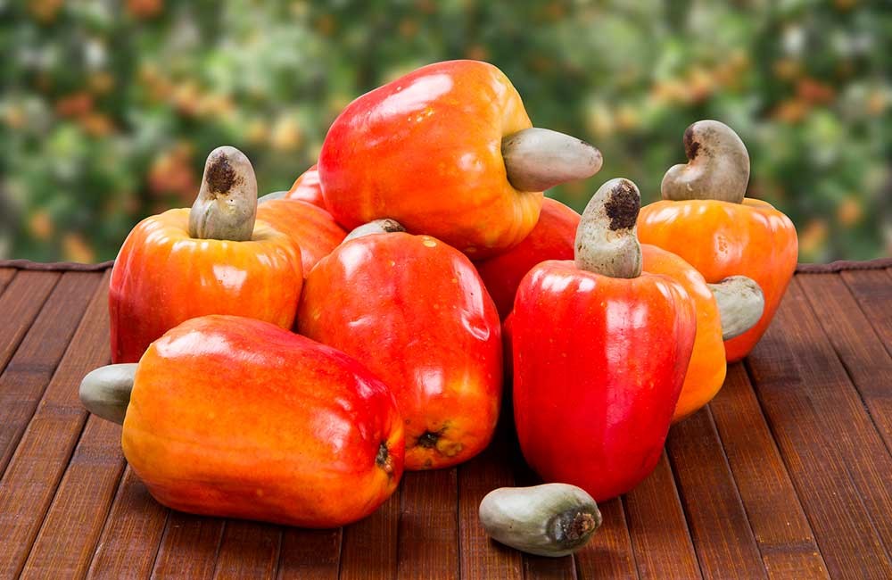Caju fruta: 40 benefícios, informação nutricional e malefícios