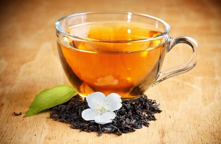 Chá de Cipreste serve para quê? Veja benefícios e como fazer