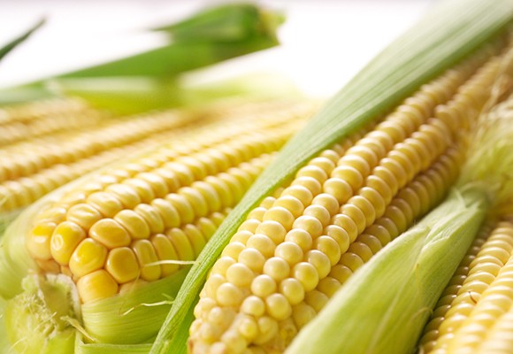 Milho Verde: 30 benefícios, informação nutricional e malefícios