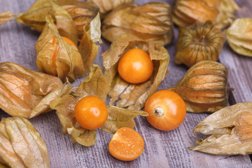 Physalis fruta: 40 benefícios, informação nutricional e usos