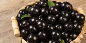 beneficios da jabuticaba