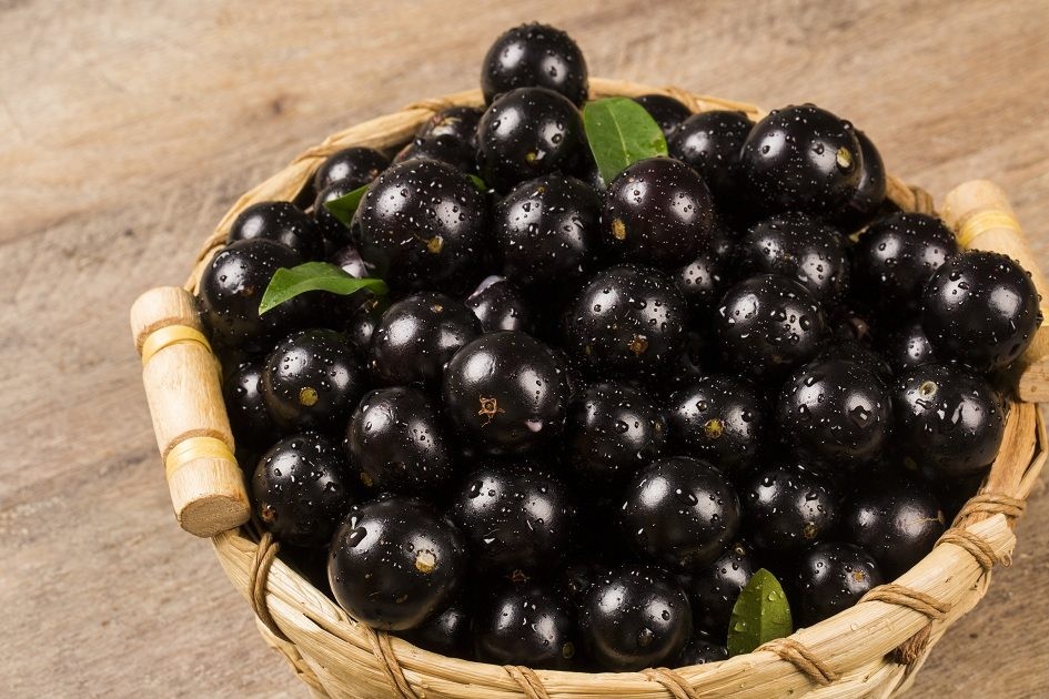 beneficios da jabuticaba