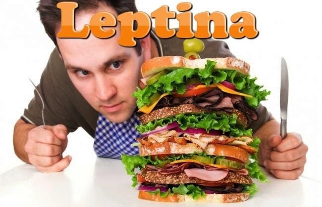 Leptina: o que é, para que serve e onde encontrar