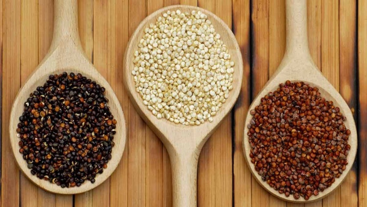 Quinoa é bom para quê? para que serve, benefícios e malefícios