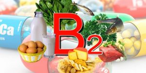 beneficios da vitamina b2