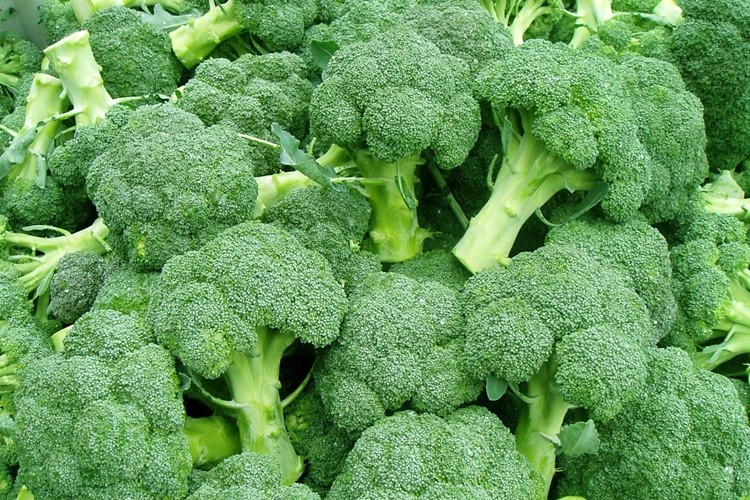 Brócolis: 40 benefícios e informação nutricional 