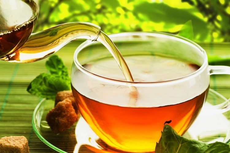 Chá de Verbasco serve para quê? Veja benefícios e como fazer
