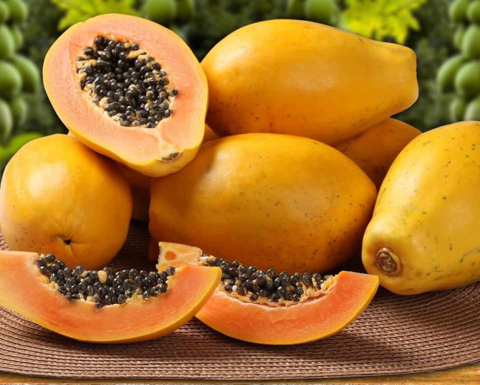 Mamão fruta: 40 benefícios, tipos, informação nutricional e malefícios