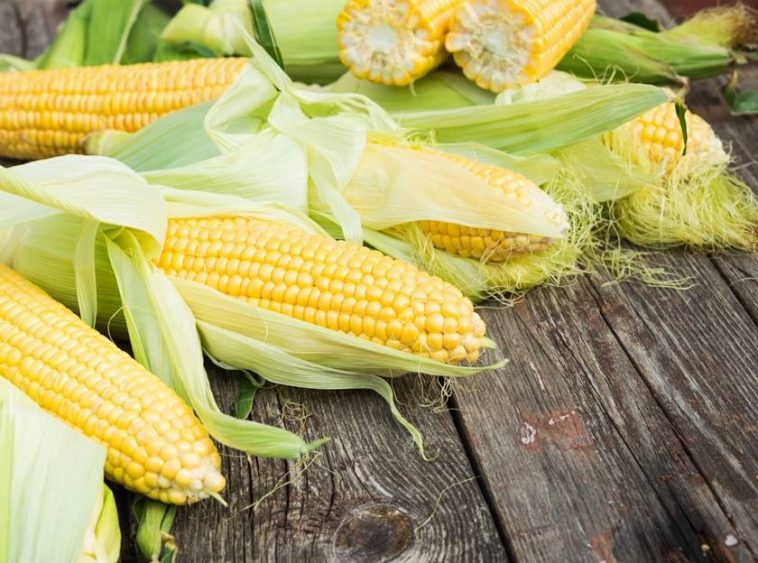 Milho Verde: 30 benefícios, informação nutricional e malefícios | Dr. Saúde