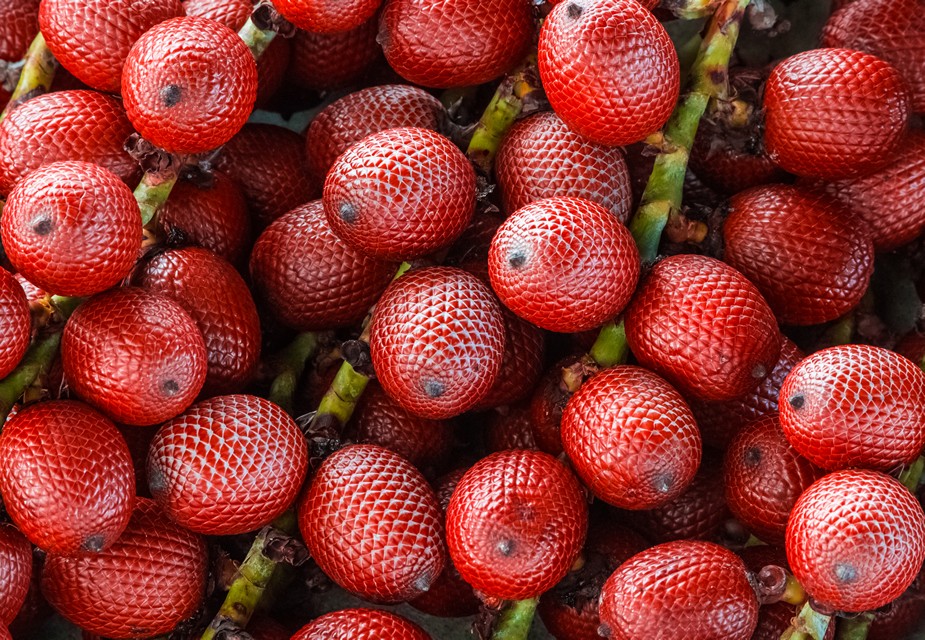 Buriti fruta: 40 benefícios, informação nutricional e utilidades