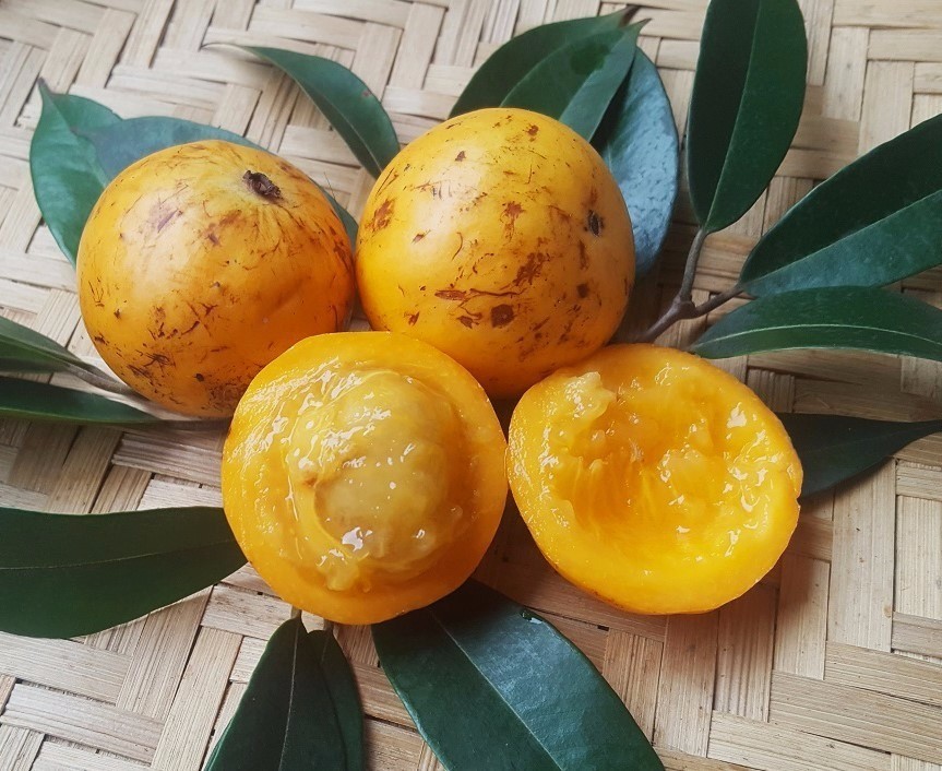 Suco de Cambucá é bom para quê? como fazer e para que serve