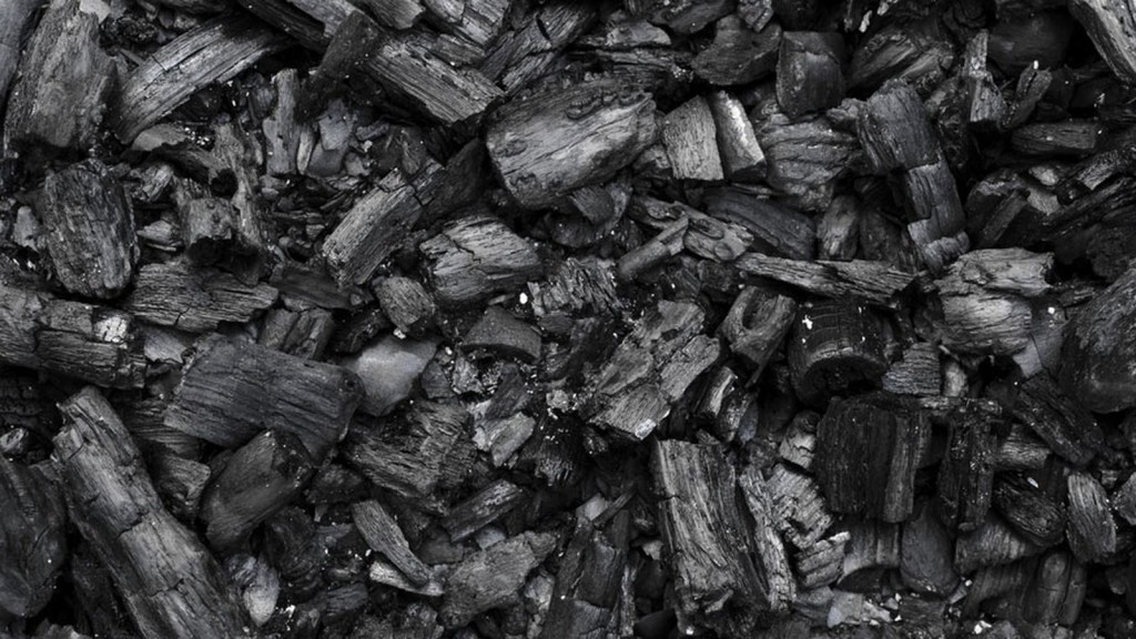 Carvão Vegetal é bom para quê? para que serve, benefícios e malefícios