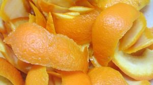 casca de laranja casca de laranja