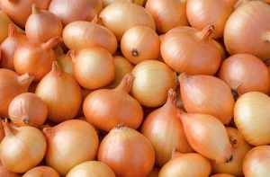 Benefícios da cebola Benefícios da cebola