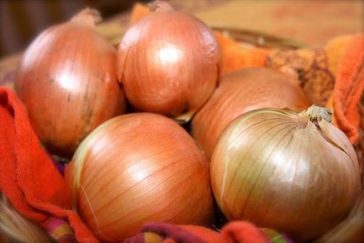 Cebola: 45 benefícios, tipos, informação nutricional e malefícios | Dr ...