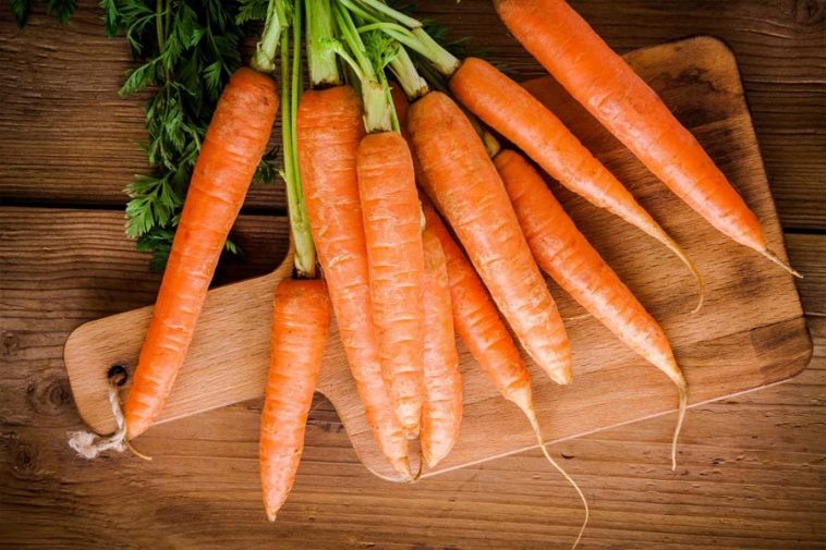 Cenoura: 40 benefícios, informação nutricional e malefícios | Dr. Saúde