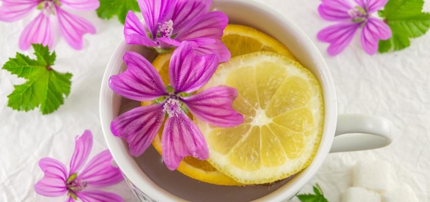 cha de malva beneficios