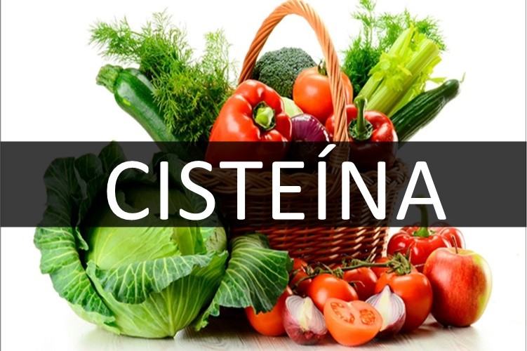 Cisteína: o que é, para que serve, alimentos e onde encontrar