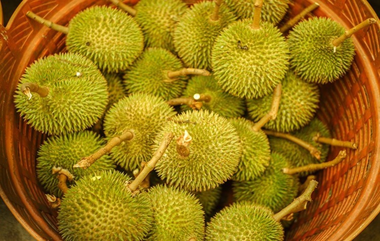 Durian fruta: 30 benefícios, informação nutricional e malefícios