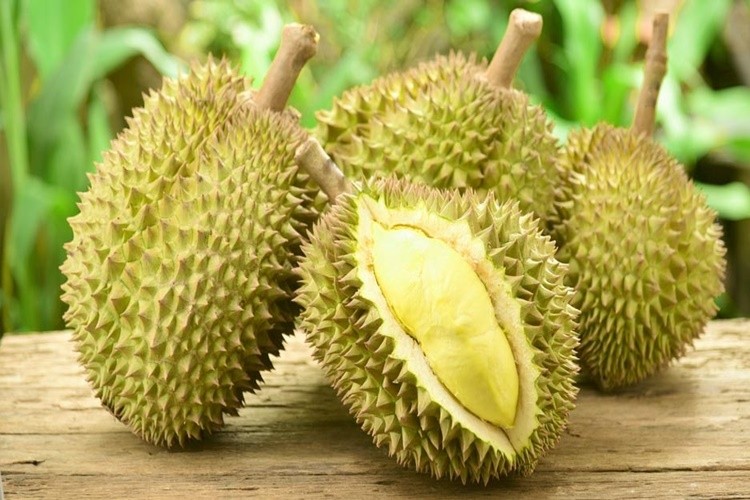 Durian fruta: 30 benefícios, informação nutricional e malefícios