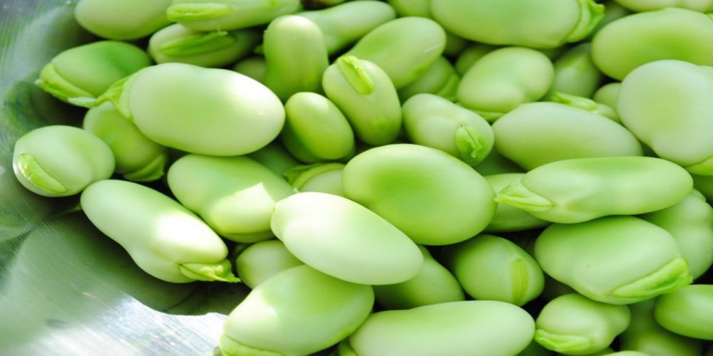 Fava: 40 benefícios, informação nutricional e malefícios