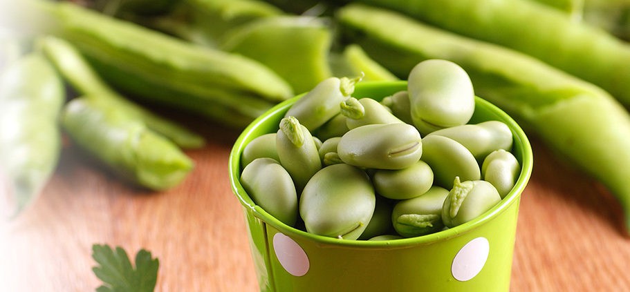 Fava: 40 benefícios, informação nutricional e malefícios