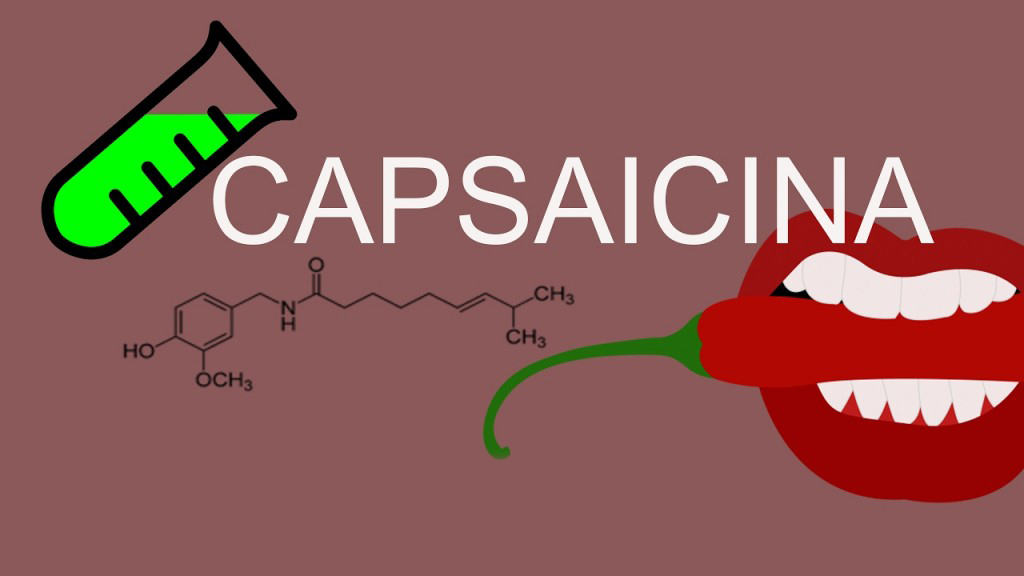 fonte de capsaicina