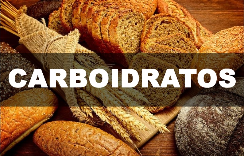 Carboidratos: o que é, para que serve, alimentos e onde encontrar