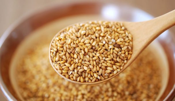 Gergelim: 32 benefícios, informação nutricional e malefícios | Dr. Saúde