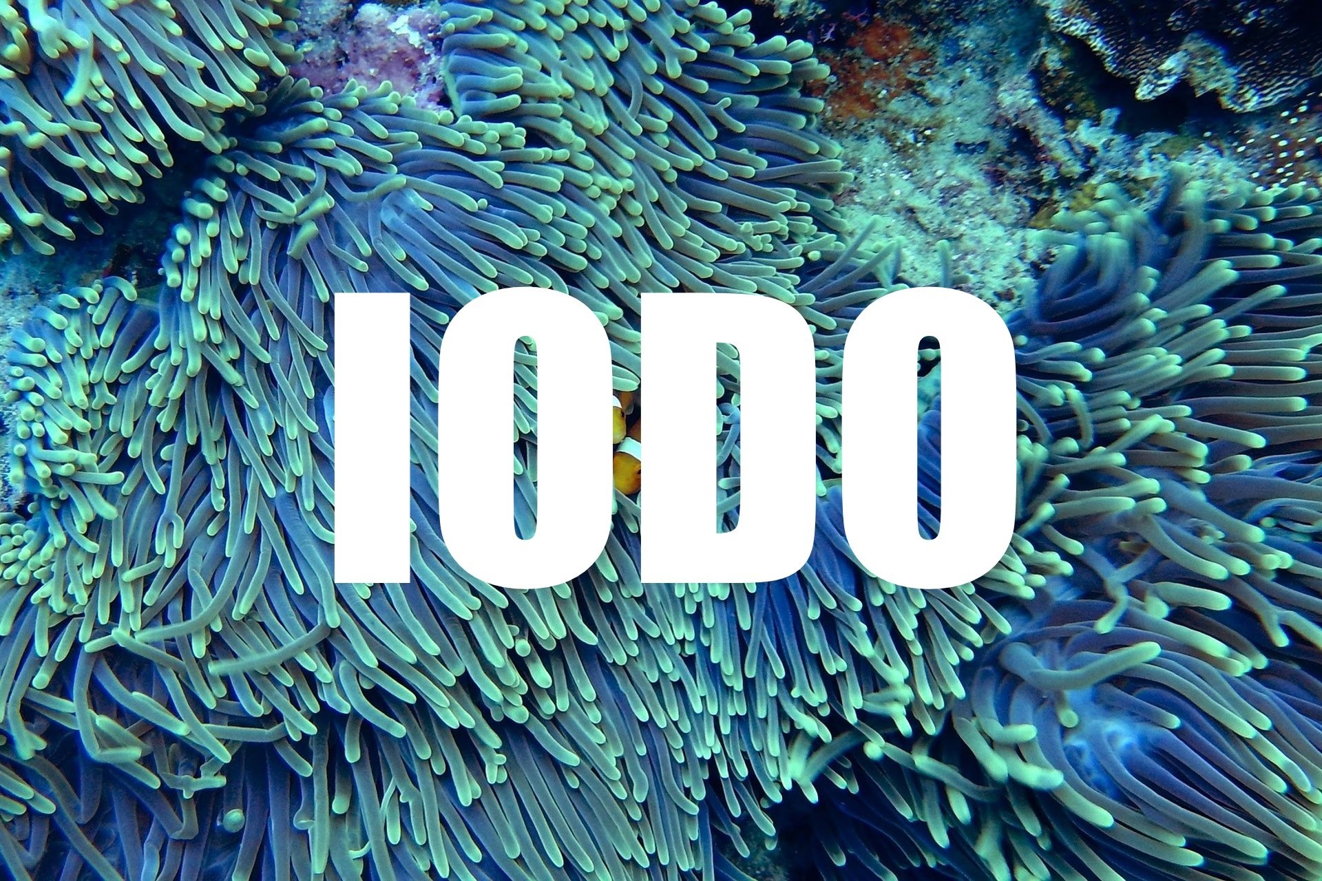 iodo