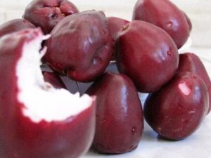 Jambo fruta: 25 benefícios, informação nutricional e receitas