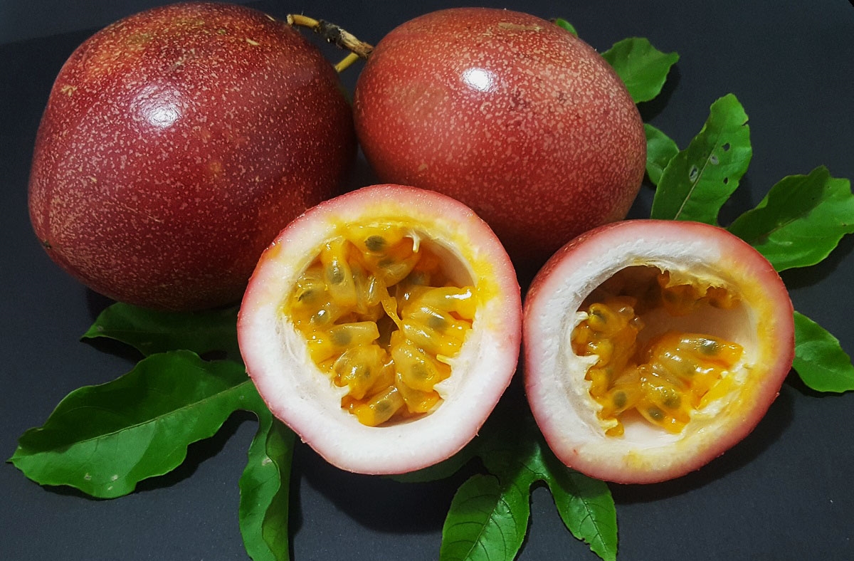 Maracujá Roxo fruta: 25 benefícios, informação nutricional e contraindicações
