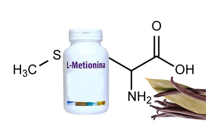 Metionina: o que é, para que serve, deficiência e onde encontrar