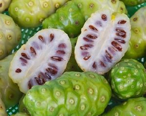 Noni fruta: 25 benefícios, informação nutricional e malefícios