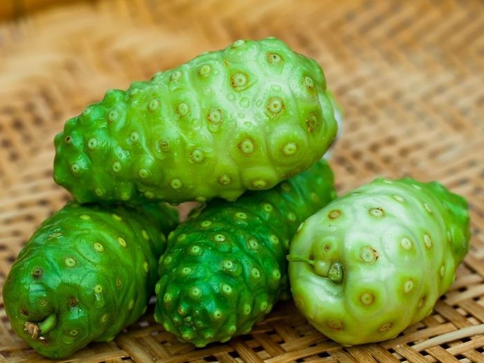Noni fruta 25 benefícios, informação nutricional e malefícios Dr. Saúde
