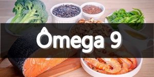 omega 9 fontes