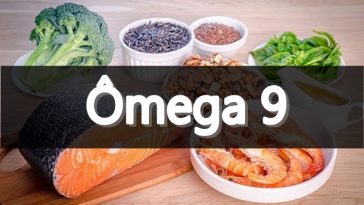 omega 9 fontes