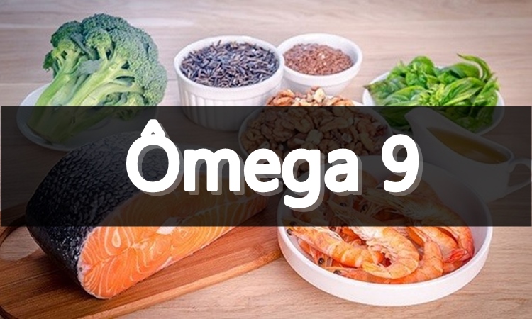 omega 9 fontes